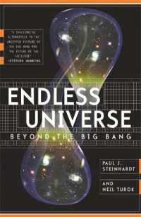 Endless Universe : Beyond the Big Bang