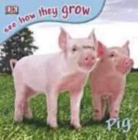Pig (See How They Grow) （STK）