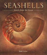 Seashells : Jewels from the Ocean （1ST）