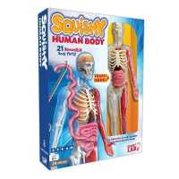 Squishy Human Body : 21 Removable Body Parts!
