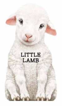 Little Lamb (Mini Look at Me Books) （Board Book）