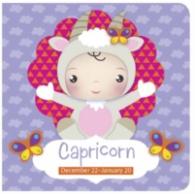 Capricorn (Zodiac Sign Books) （BRDBK）