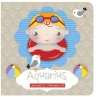Aquarius : January 21-february 19 （BRDBK）