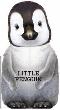 Little Penguin （Board Book）
