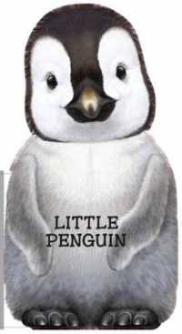 Little Penguin