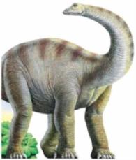 Diplodocus （BRDBK）