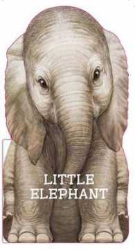 Little Elephant （Board Book）