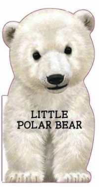 Little Polar Bear （Board Book）