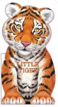 Little Tiger （Board Book）