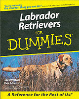 Labrador Retrievers for Dummies (For Dummies (Computer/tech))