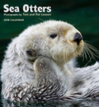 Sea Otters 2018 Calendar （WAL）