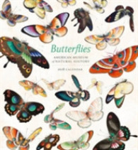 Butterflies 2018 Calendar （WAL）