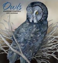 Owls 2019 Calendar （WAL）