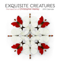 Exquisite Creatures the Insect Art of Christopher Marley 2019 Calendar （WAL）