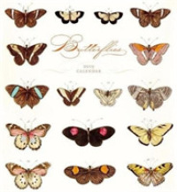Butterflies 2019 Calendar （WAL）