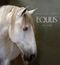 Equus 2019 Calendar （WAL）