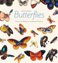 Butterflies 2019 Calendar （MIN WAL）