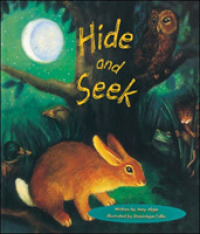 Hide and Seek (Storyteller lap books) -- Hardback