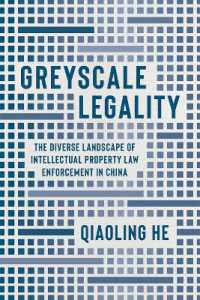 Greyscale Legality : The Diverse Landscape of Intellectual Property Law Enforcement in China (Law and Society)