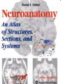 Neuroanatomy : An Atlas of Structures, Sections and Systems （5TH）