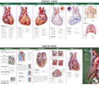 Anatomical Chart Company's Illustrated Pocket Anatomy: Anatomy of the Heart Study Guide (Anatomical Chart Company's Illustrated Pocket Anatomy) （2ND）