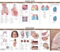Anatomical Chart Company's Illustrated Pocket Anatomy: Anatomy & Disorders of the Respiratory System Study Guide (Anatomical Chart Company's Illustrated Pocket Anatomy) （2ND）