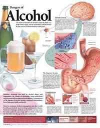 Dangers of Alcohol Anatomical Chart （2ND）