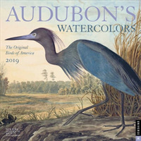 Audubon's Watercolors 2019 Calendar （WAL）