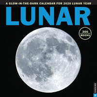 Lunar 2020 /wall