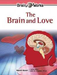 The Brain and Love (Brain Works)
