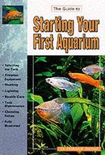 The Guide to Starting Your First Aquarium