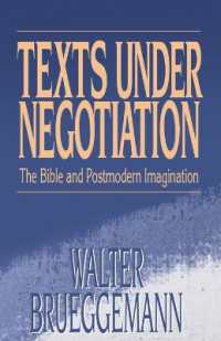 Texts under Negotiation : The Bible and Postmodern Imagination