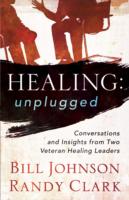 Healing Unplugged : Conversations and Insights from Two Veteran Healing Leaders （Original）