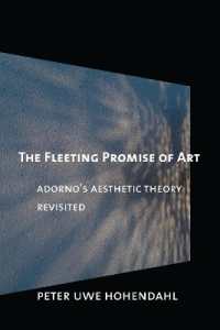 The Fleeting Promise of Art : Adorno's Aesthetic Theory Revisited