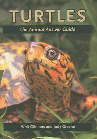 亀ガイド<br>Turtles : The Animal Answer Guide (The Animal Answer Guides: Q&a for the Curious Naturalist)