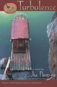Turbulence : A Novel