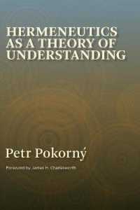 Hermeneutics as a Theory of Understanding