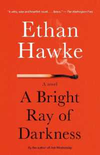 A Bright Ray of Darkness : A novel (Vintage Contemporaries)