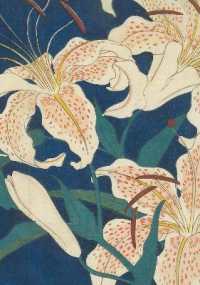 Hiroshige Spotted Lilies Dotted Paperback Journal : Blank Notebook with Pocket (Journal)