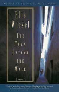 The Town Beyond the Wall : A Novel