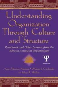 Understanding Organization through Culture and Structure : Relational and Other Lessons from the African American Organization (Routledge Communication Series)