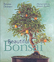 Beautiful Bonsai