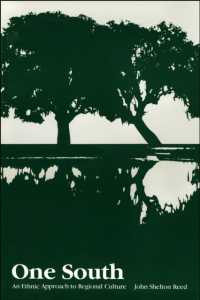 One South : An Ethnic Approach to Regional Culture