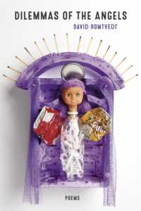 Dilemmas of the Angels : Poems