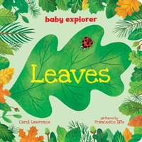 Leaves (Baby Explorer) （Board Book）