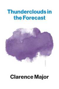 Thunderclouds in the Forecast : A Novel