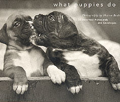 What Puppies Do : 20 Assorted Notecards and Envelopes （GMC CRDS）