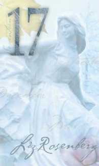 17 : A Novel in Prose Poems