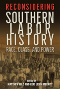 Reconsidering Southern Labor History : Race, Class, and Power