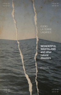 Wonderful Wasteland and other natural disasters : Poems (University Press of Kentucky New Poetry & Prose Series)